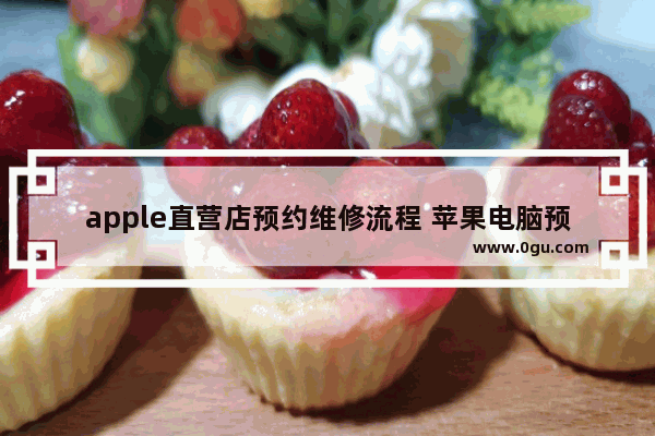 apple直营店预约维修流程 苹果电脑预约维修