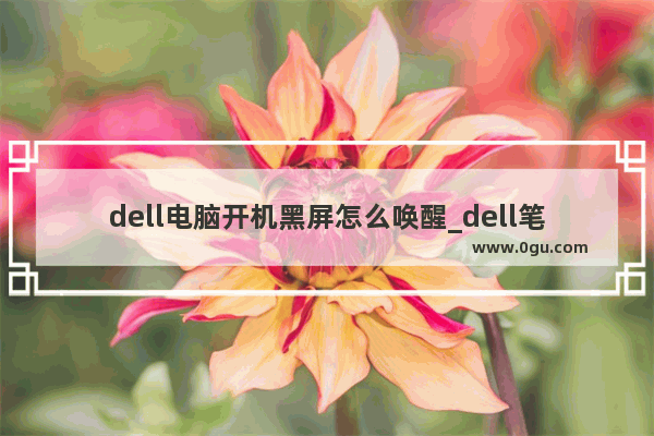 dell电脑开机黑屏怎么唤醒_dell笔记本电脑开机黑屏没反应