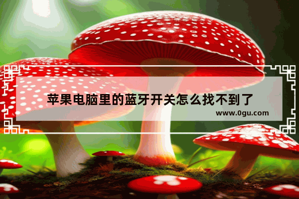 苹果电脑里的蓝牙开关怎么找不到了