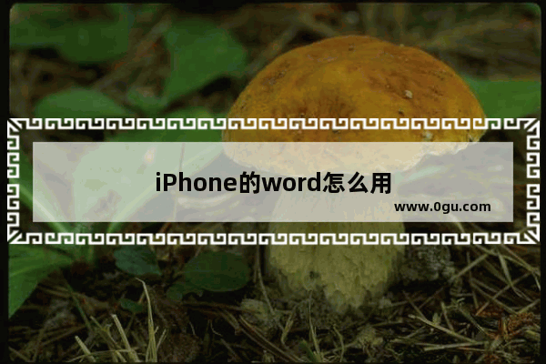 iPhone的word怎么用