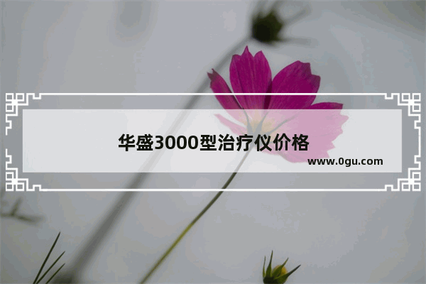 华盛3000型治疗仪价格