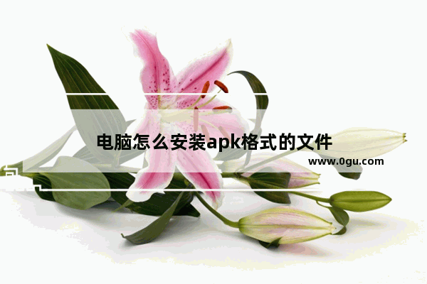 电脑怎么安装apk格式的文件