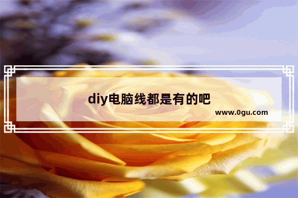 diy电脑线都是有的吧