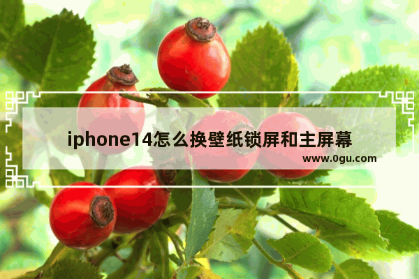 iphone14怎么换壁纸锁屏和主屏幕