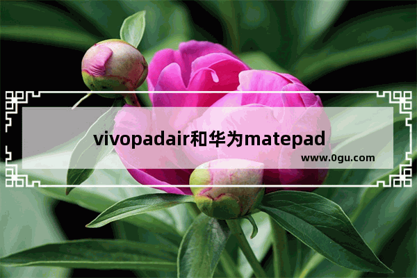 vivopadair和华为matepad2023哪个更合适