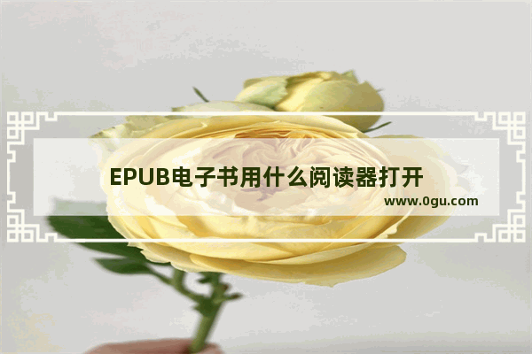 EPUB电子书用什么阅读器打开