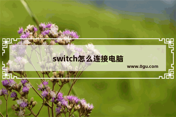 switch怎么连接电脑