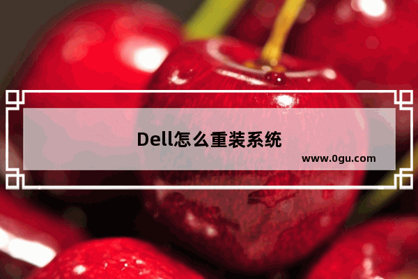 Dell怎么重装系统