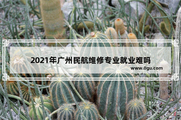 2021年广州民航维修专业就业难吗