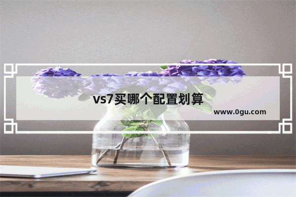 vs7买哪个配置划算