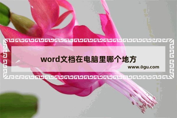 word文档在电脑里哪个地方