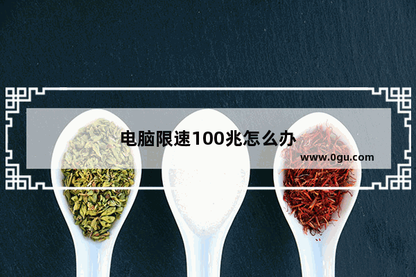 电脑限速100兆怎么办