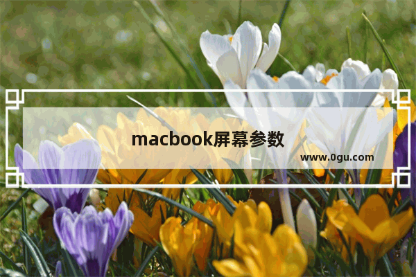 macbook屏幕参数