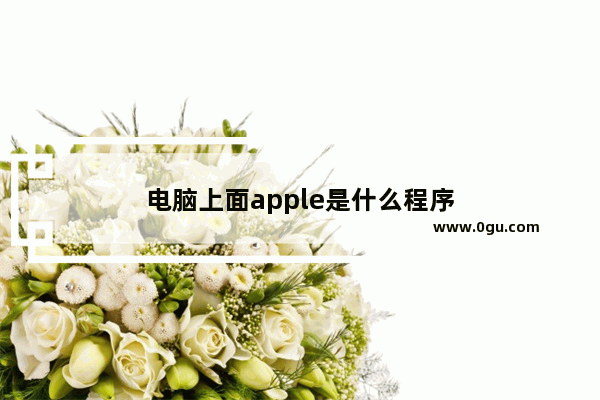 电脑上面apple是什么程序