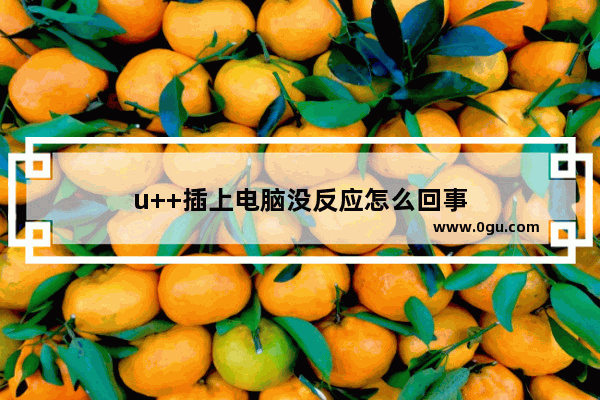 u++插上电脑没反应怎么回事