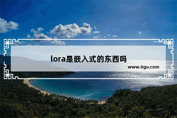 lora是嵌入式的东西吗