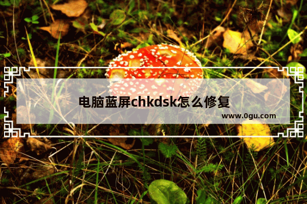 电脑蓝屏chkdsk怎么修复