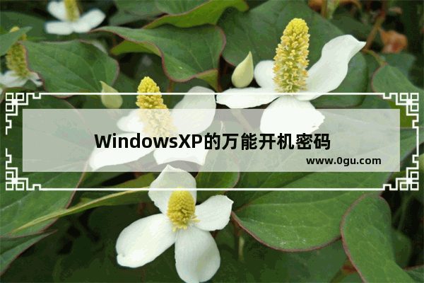 WindowsXP的万能开机密码