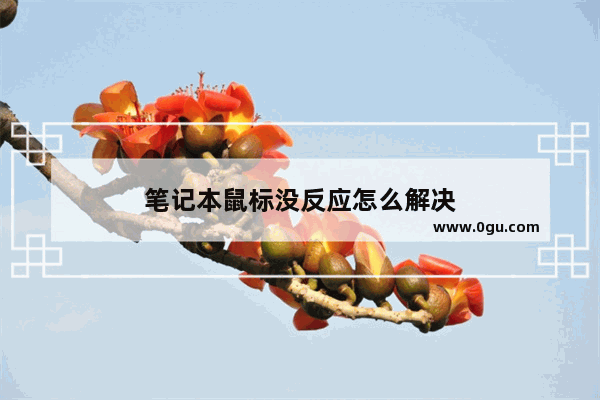 笔记本鼠标没反应怎么解决