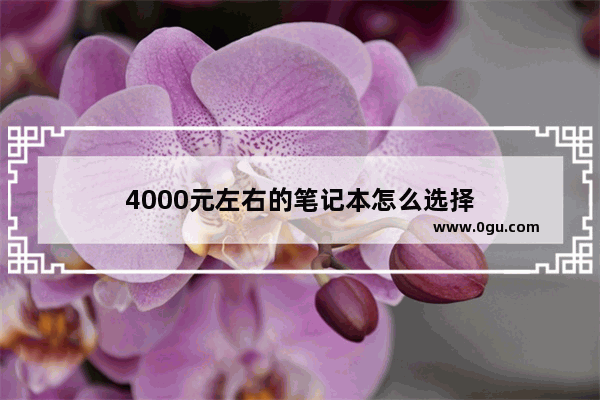 4000元左右的笔记本怎么选择