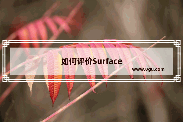 如何评价Surface