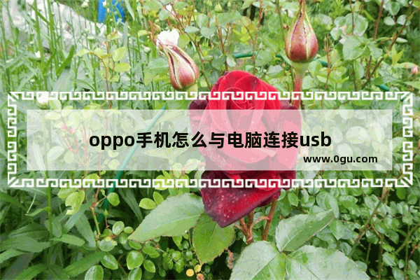 oppo手机怎么与电脑连接usb