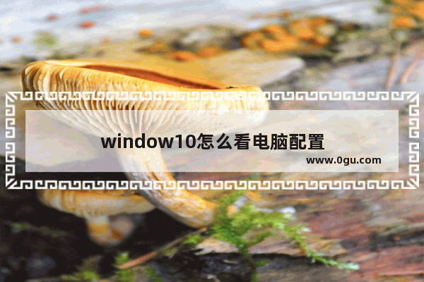 window10怎么看电脑配置