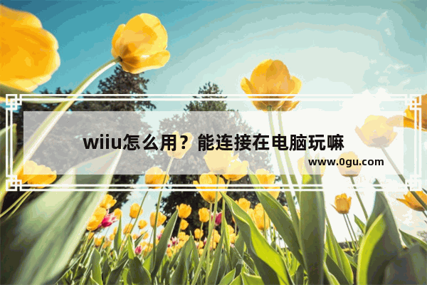 wiiu怎么用？能连接在电脑玩嘛