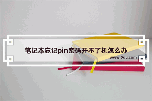 笔记本忘记pin密码开不了机怎么办