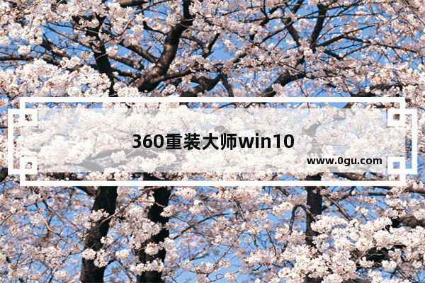 360重装大师win10