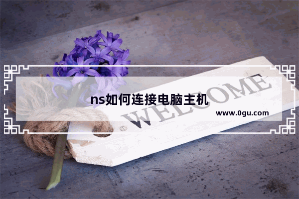 ns如何连接电脑主机