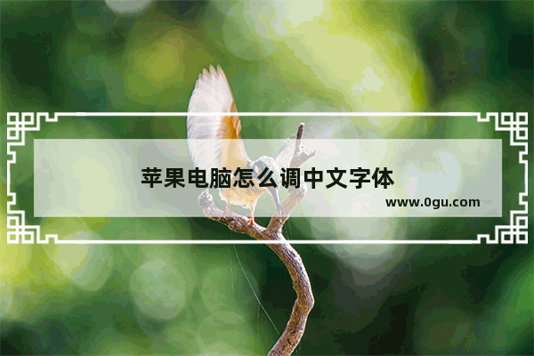 苹果电脑怎么调中文字体