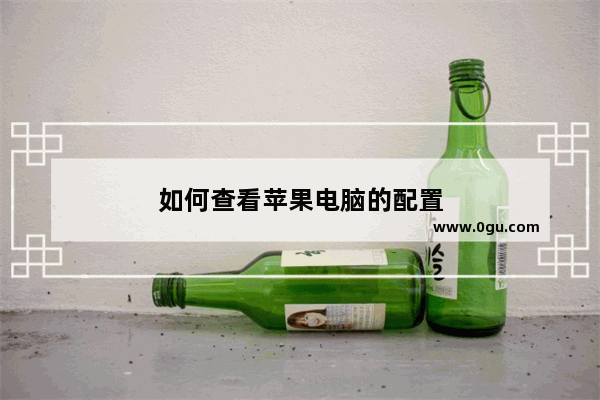 如何查看苹果电脑的配置