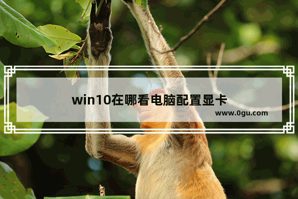 win10在哪看电脑配置显卡