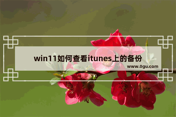 win11如何查看itunes上的备份