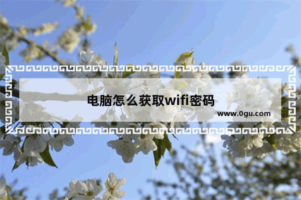 电脑怎么获取wifi密码