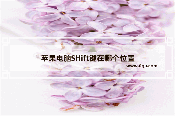 苹果电脑SHift键在哪个位置