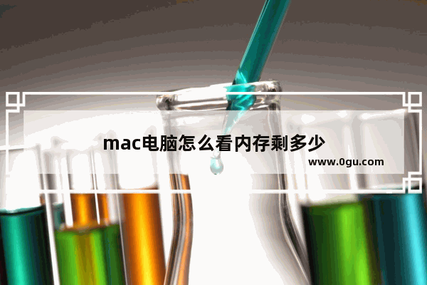 mac电脑怎么看内存剩多少