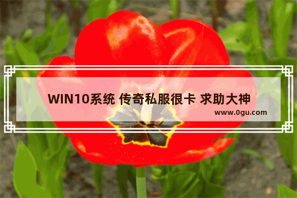 WIN10系统 传奇私服很卡 求助大神