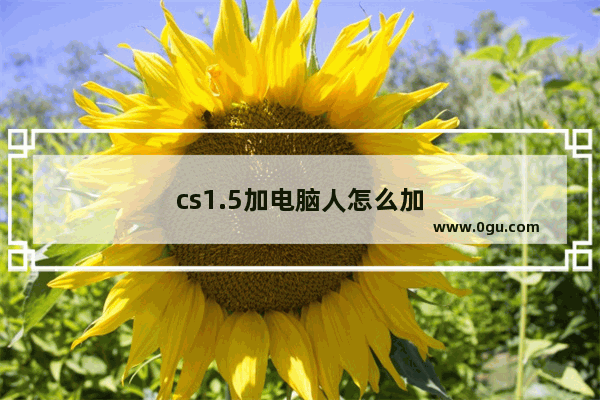 cs1.5加电脑人怎么加