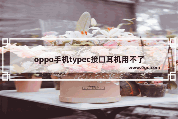 oppo手机typec接口耳机用不了