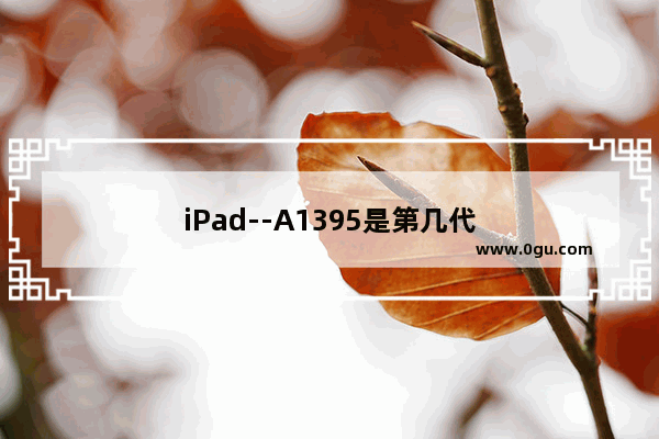 iPad--A1395是第几代