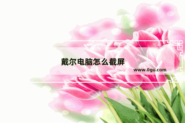 戴尔电脑怎么截屏