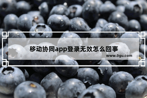 移动协同app登录无效怎么回事