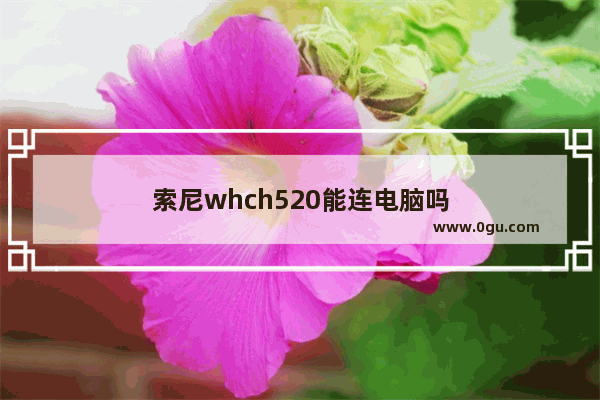 索尼whch520能连电脑吗