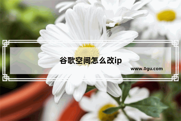 谷歌空间怎么改ip