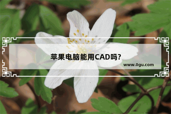 苹果电脑能用CAD吗?