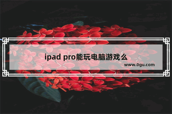 ipad pro能玩电脑游戏么