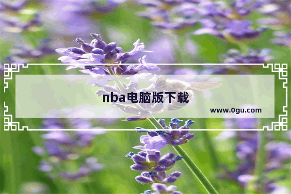 nba电脑版下载