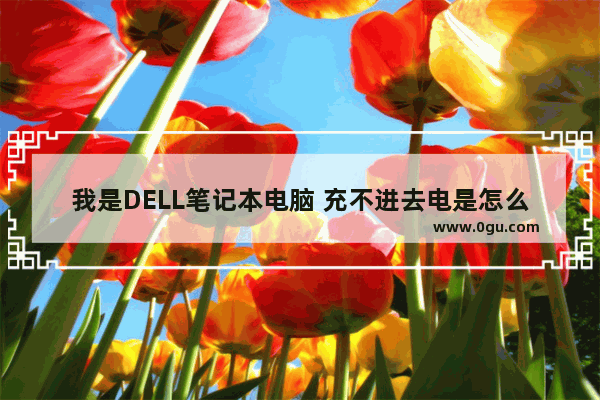 我是DELL笔记本电脑 充不进去电是怎么回事